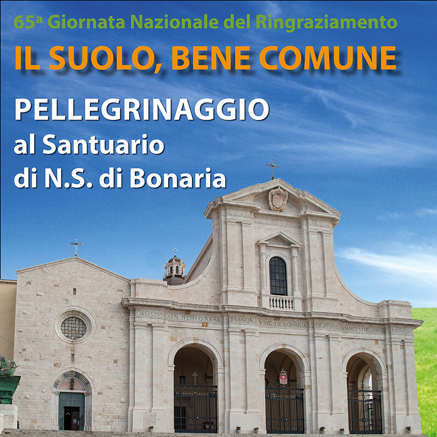 Pellegrinaggio-sito-diocesi