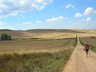 Camino_de_Santiago