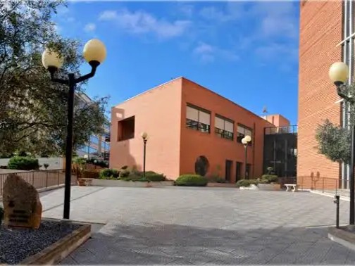 facoltà teologica – ok dimensioni